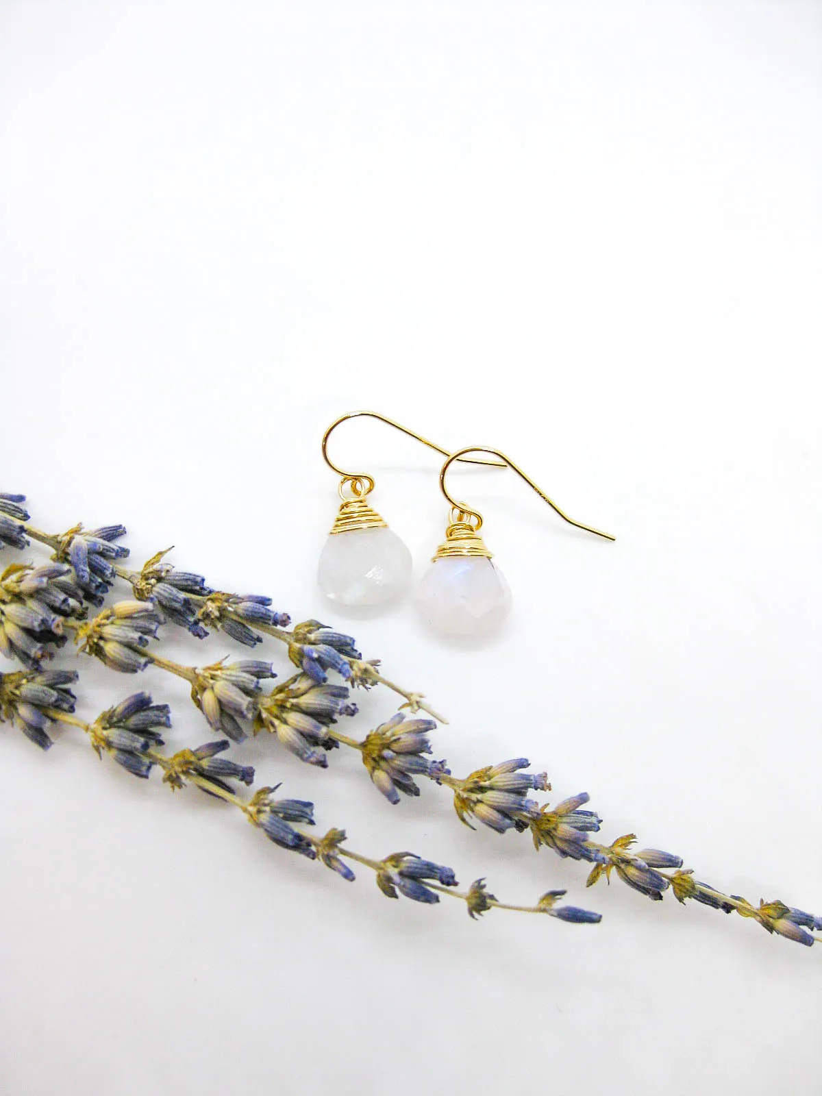 Chamomile: Moonstone Earrings - e674