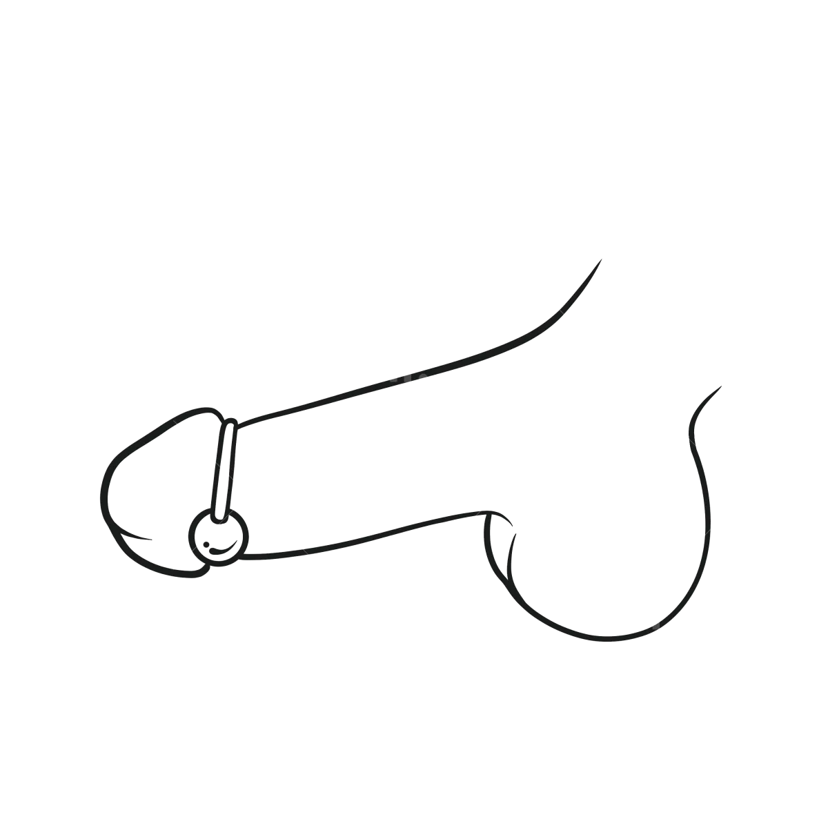 OXY01 - Glans rings